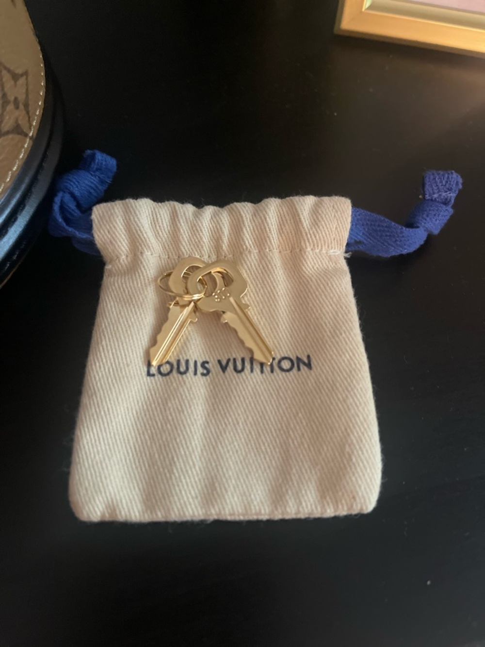 2025 Microchipped Louis Vuitton Reverse Monogram Cannes Bag in Brown and Black - Picture 6 of 9